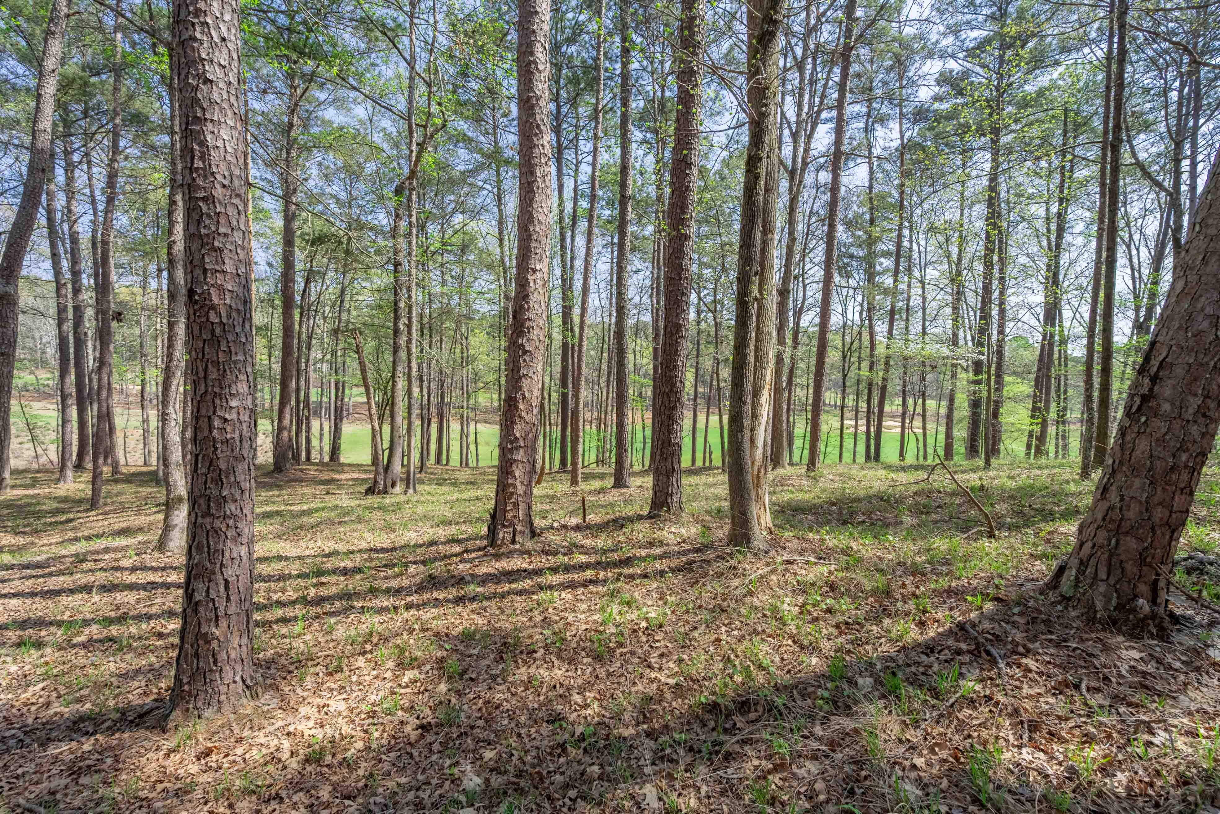 1190 Callahan's Ridge Road image 9